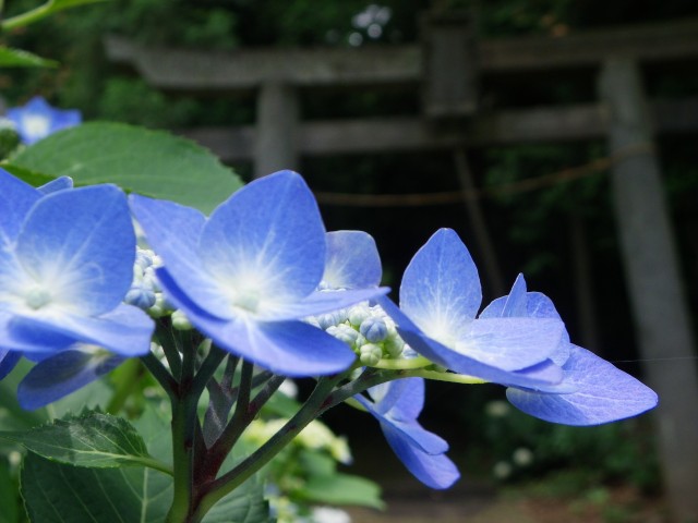 b0004675_1918263.jpg