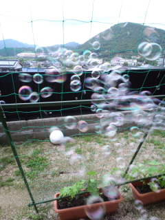 c0228378_5404632.jpg
