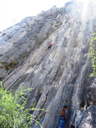 e0172085_6461838.jpg