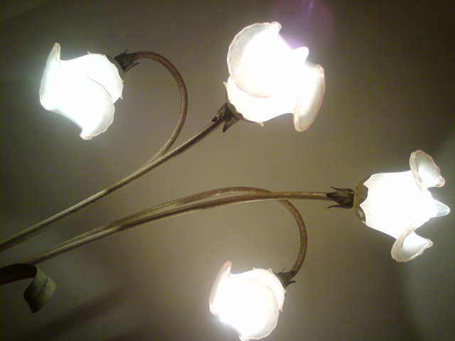c0122788_15412877.jpg
