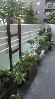 a0183790_22245713.jpg