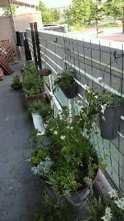 a0183790_22245785.jpg