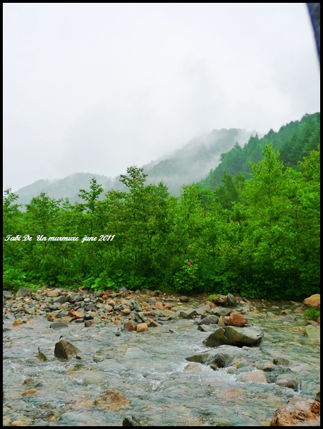 d0140490_6192985.jpg