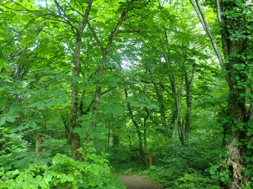 f0230992_18134520.jpg