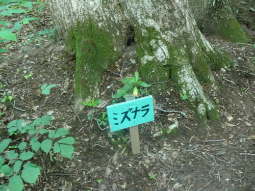 f0230992_18171395.jpg