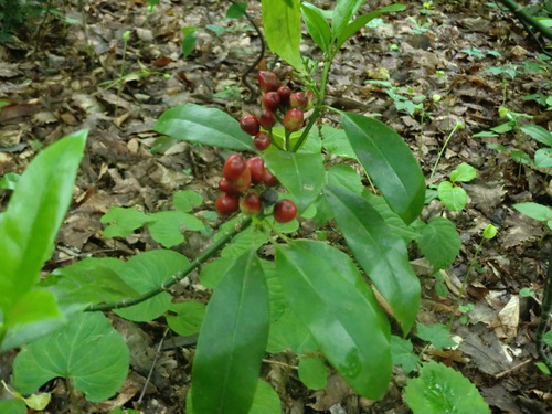 f0230992_181801.jpg