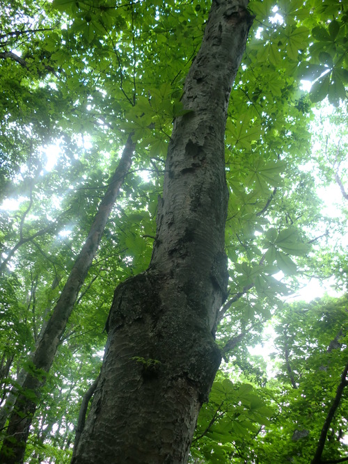 f0230992_1820388.jpg
