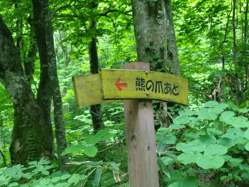 f0230992_18281223.jpg