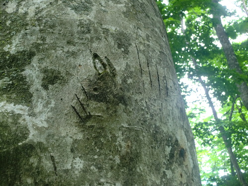 f0230992_1832318.jpg