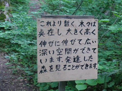 f0230992_1843694.jpg