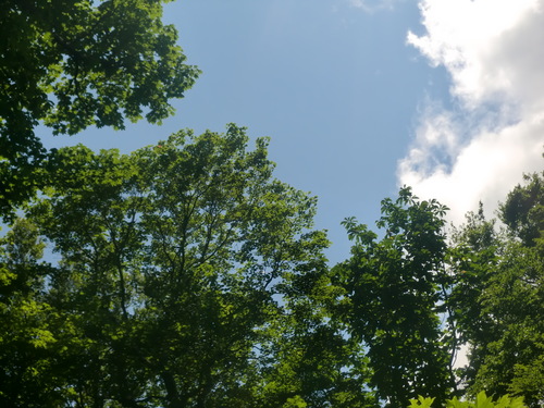f0230992_18484556.jpg