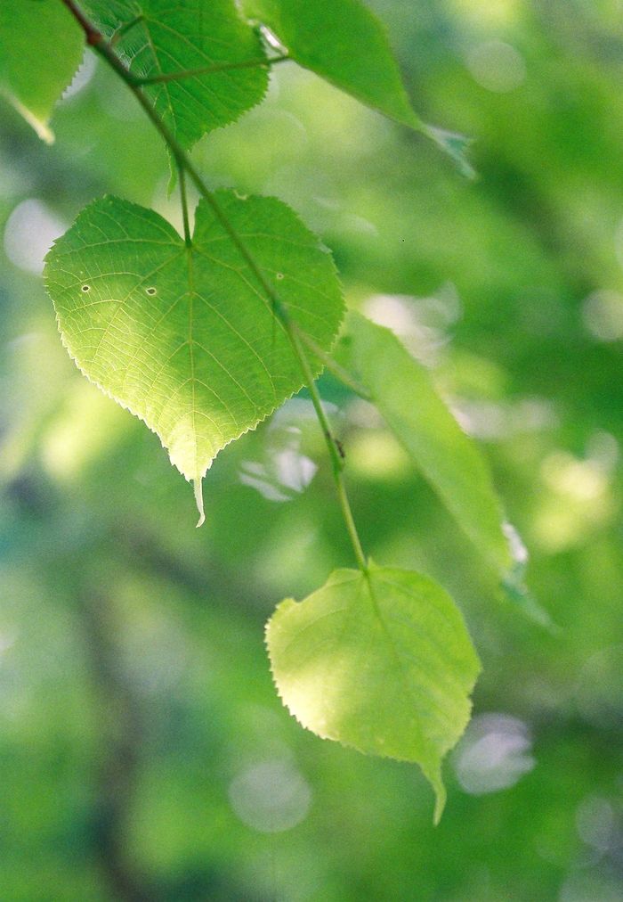 f0220698_21403793.jpg