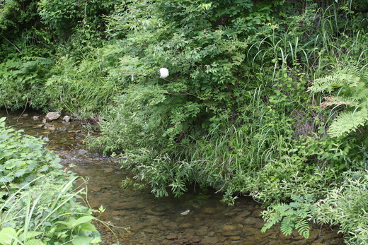 b0049200_1840766.jpg