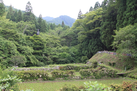 b0049200_18464150.jpg