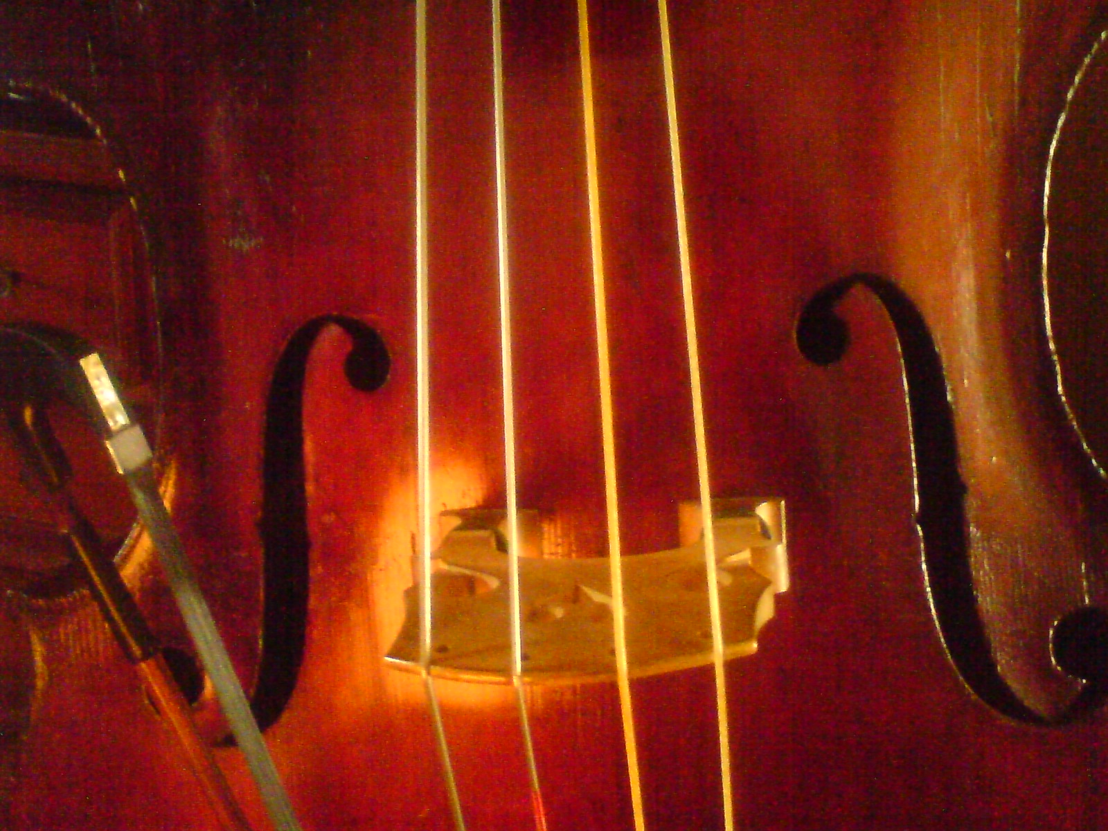 c0202101_07118.jpg