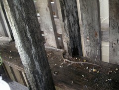 c0190010_1658491.jpg