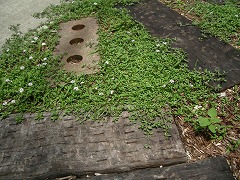 c0190010_1773196.jpg