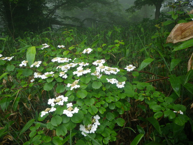 d0006512_0103879.jpg