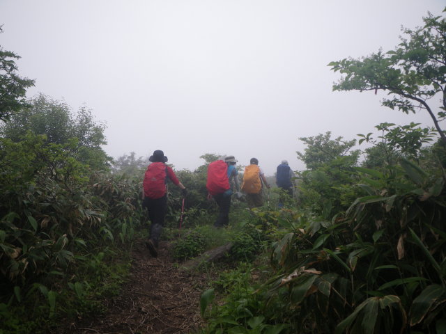 d0006512_0122158.jpg