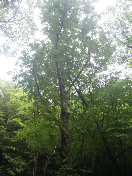 d0006512_0185723.jpg