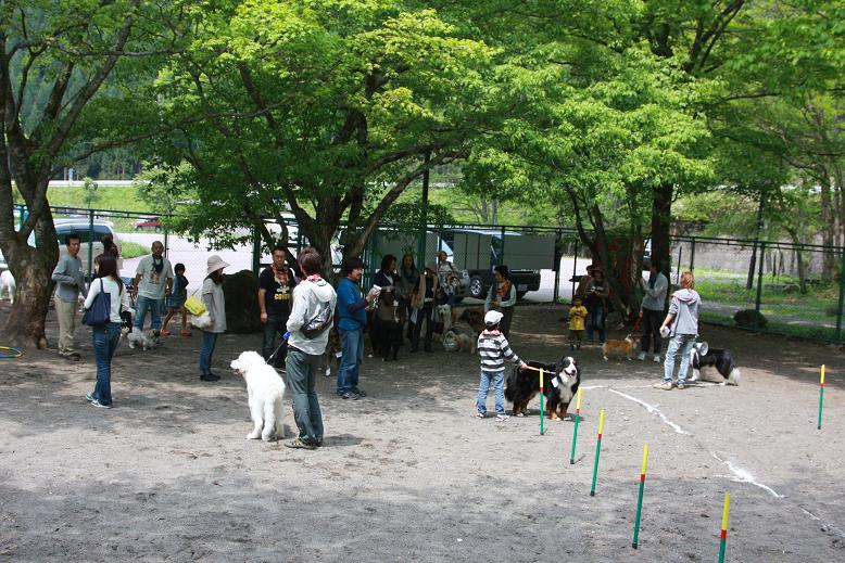 c0181414_16483180.jpg