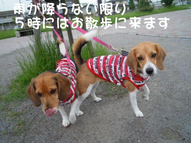 c0166622_12121572.jpg