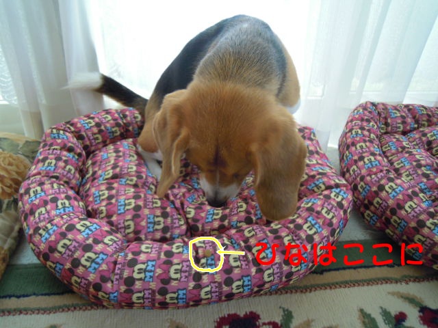 c0166622_12204067.jpg