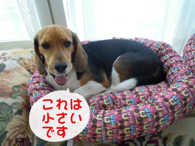 c0166622_12234738.jpg