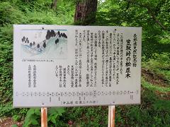 f0022024_771384.jpg