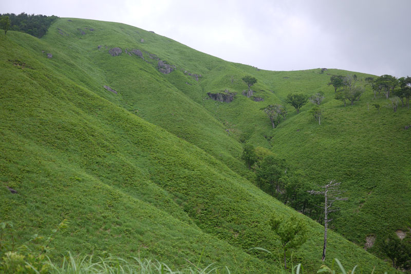 c0064025_22382220.jpg