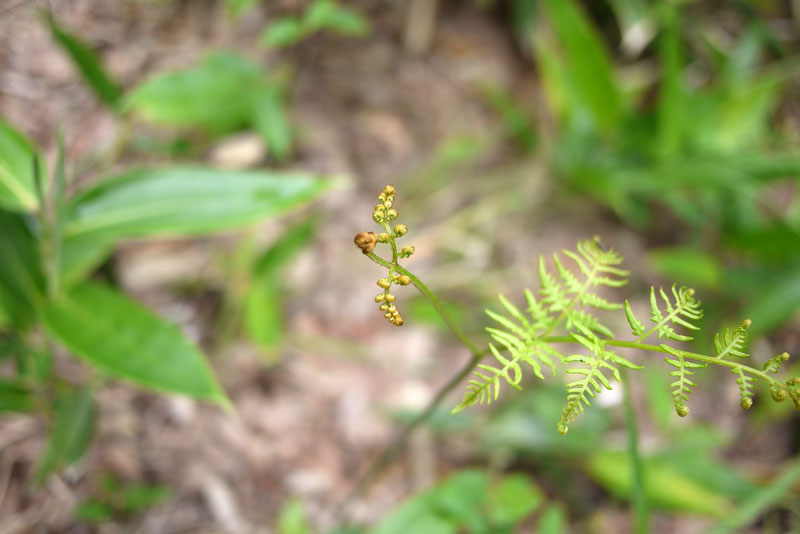 c0064025_22404195.jpg