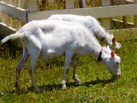 c0098228_21171534.jpg