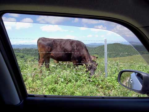 c0098228_21175560.jpg
