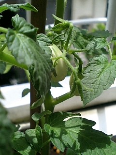 b0224629_828169.jpg