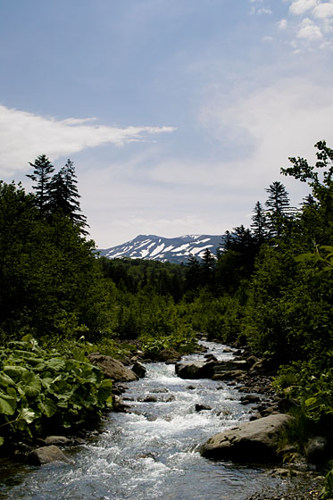 e0025030_916273.jpg