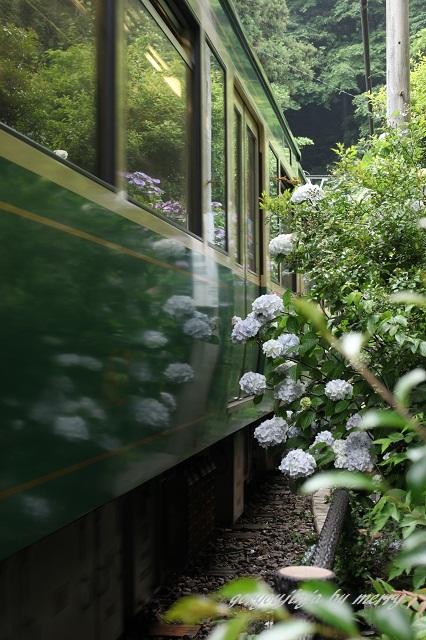 a0207736_23301324.jpg
