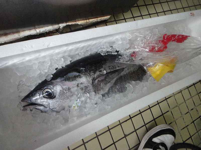 f0208737_9155066.jpg