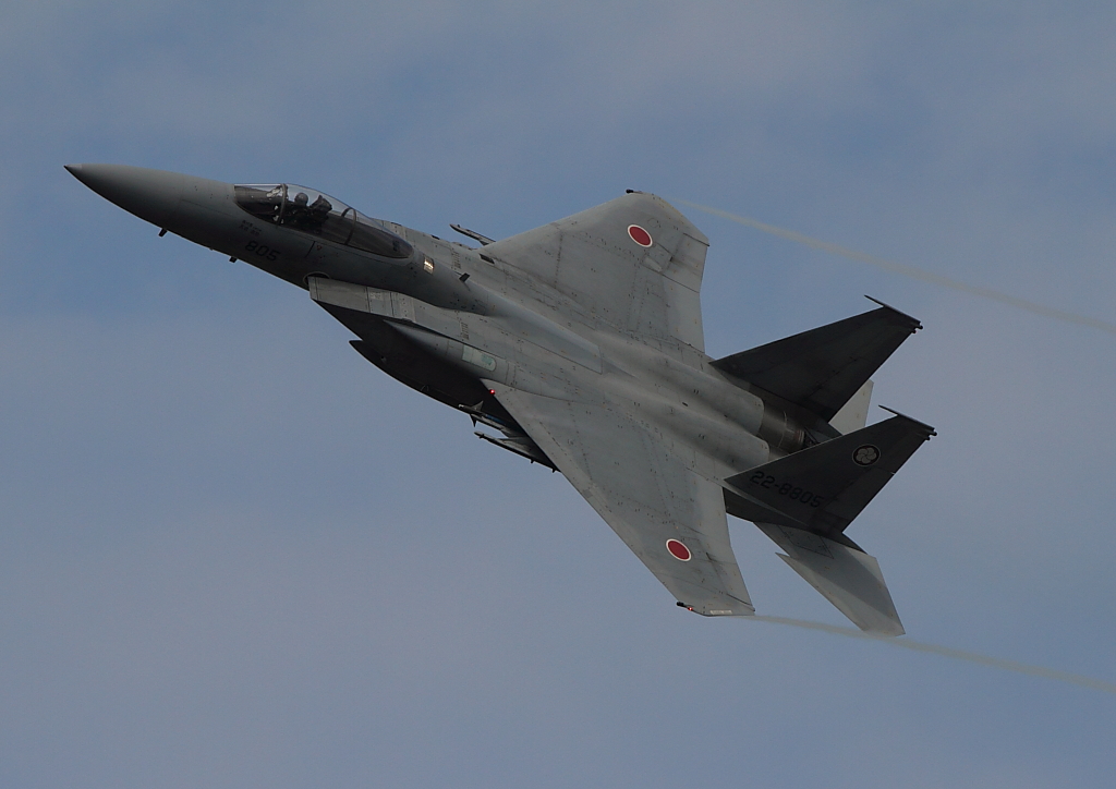 d0193838_6343040.jpg