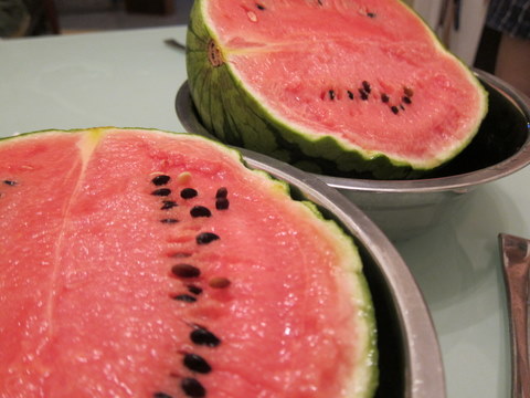 e0018143_20211063.jpg