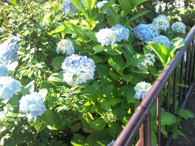e0150843_151694.jpg