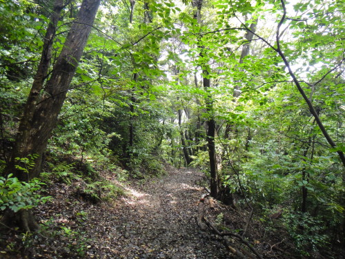 c0179351_18451658.jpg