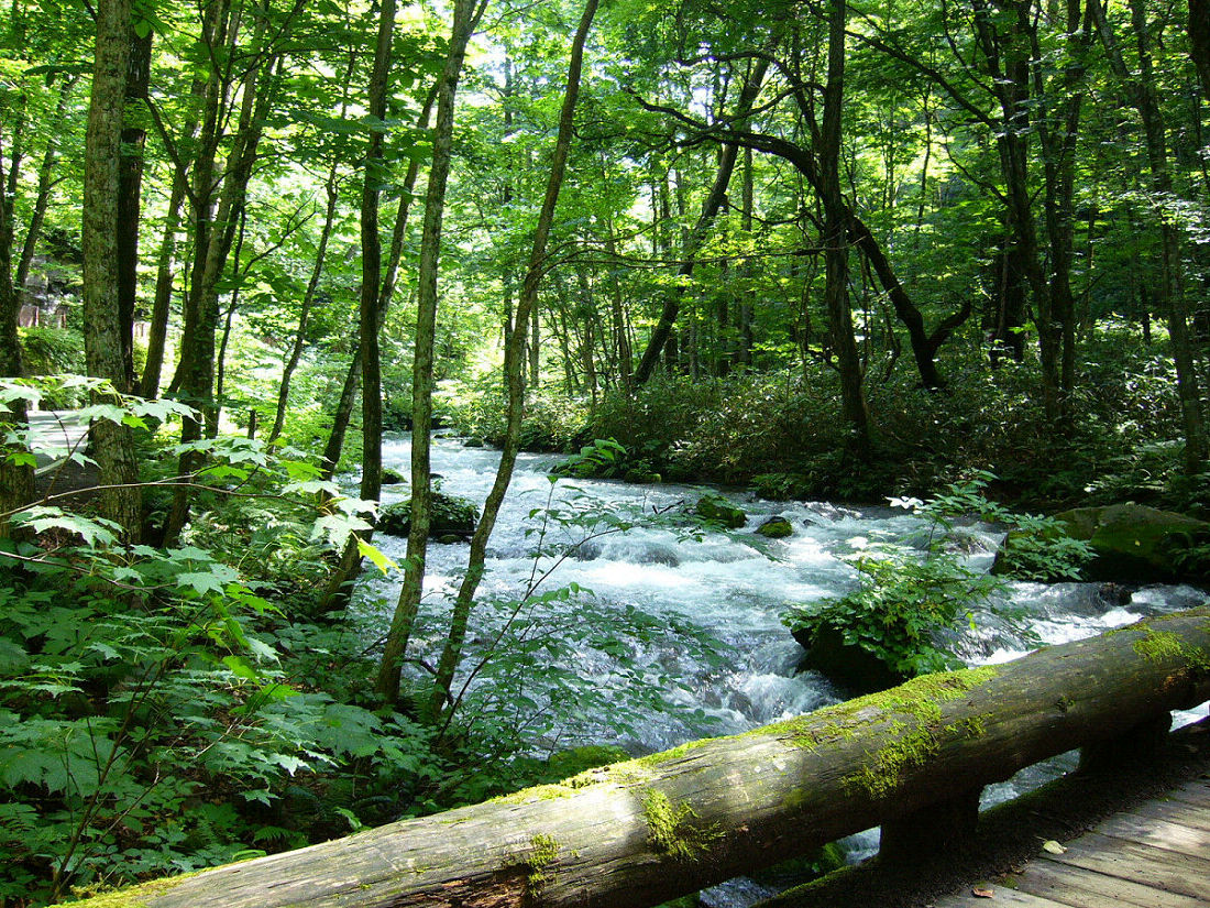b0002156_15244419.jpg