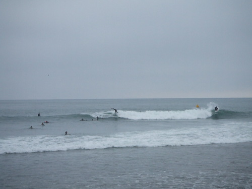 f0172157_17141713.jpg