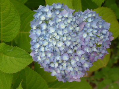 c0050264_13451779.jpg