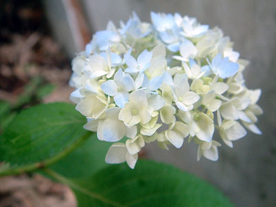 c0050264_13552020.jpg