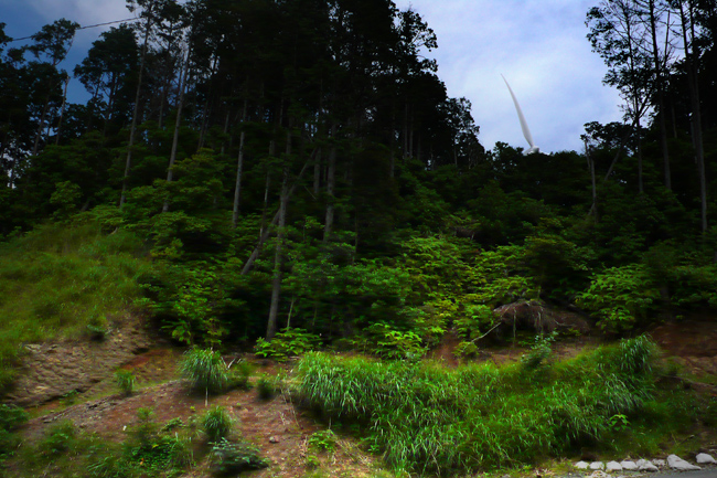 d0149466_23191651.jpg