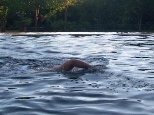 d0083068_18445511.jpg