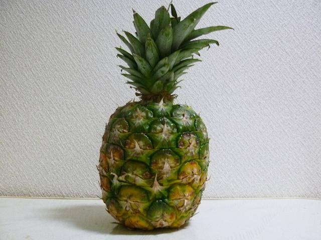 e0004173_16395958.jpg