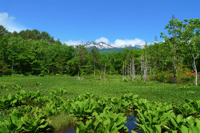 f0182173_1027020.jpg