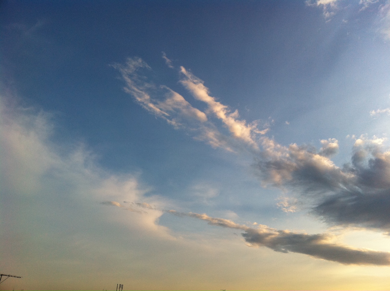 a0152078_1530508.jpg